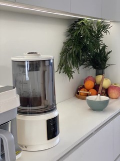 德国蓝宝柔音破壁机家用全自动小型豆浆机非静音多功能料理榨汁机