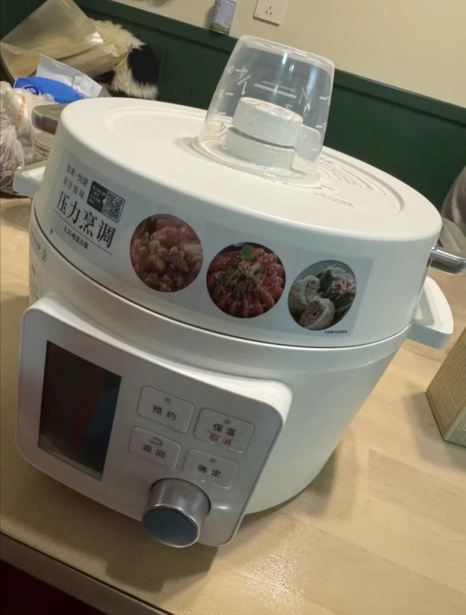 iris爱丽思电压力锅家用小型