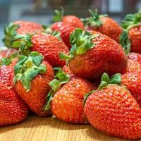 为了草莓的那口清甜，值得去一趟鸭绿江畔的丹东