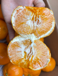 买的大橘子