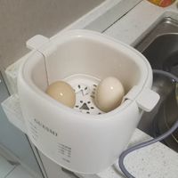 家用煮蛋器