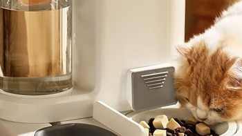 KimPets宠物用品大揭秘！双碗设计，让猫咪狗狗喝水吃饭两不误！