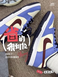 Nike dunk休闲运动板鞋，配色真的好好看。