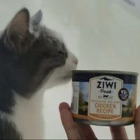 滋益巅峰（ZIWI）猫罐头185g*6罐鸡肉味主食湿粮成猫幼猫通用新西兰原装进口