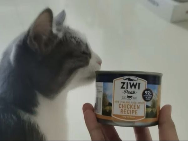 滋益巅峰（ZIWI）猫罐头185g*6罐鸡肉味主食湿粮成猫幼猫通用新西兰原装进口