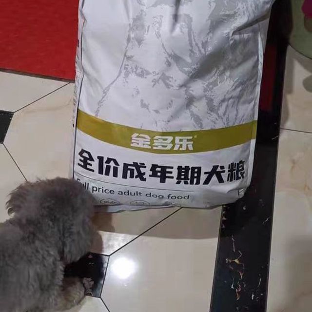 狗狗粮年货必备