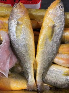 黄花鱼，素有“国鱼”的美誉
