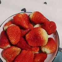 姬幻兰怜果王大凉山奶油草莓 新鲜奶油草莓 