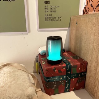 金运蓝牙音箱家用无线小音响小型低音炮超重低音高音质车载电脑