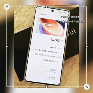 iQOO 12 12GB+256GB传奇版