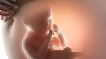 怀孕一个月：胎儿发育与孕妈妈的身体变化