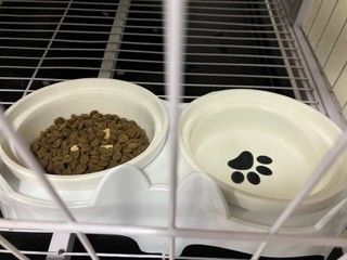 锋上 猫碗陶瓷猫食盆猫咪碗宠物碗斜口防打翻双碗喝水喂食一体