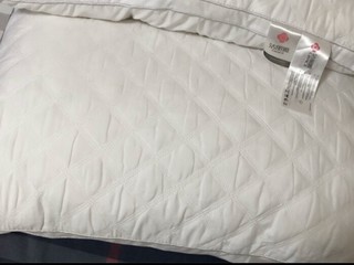 ￼￼洁丽雅（Grace）纤维枕 星级酒店枕头枕芯 46*72cm 一对装（2只装）￼￼