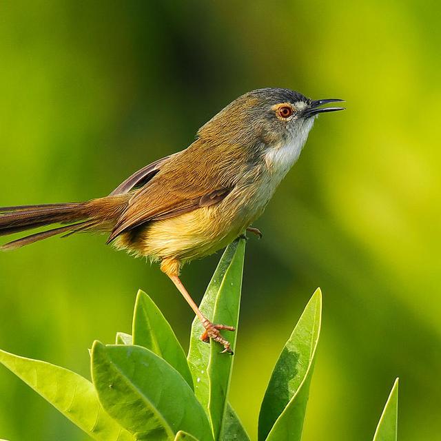 奥之心OM-1 II、150-600、9-18 II抢先体验