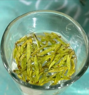 西湖春明前茶叶 2023年新茶龙井明前绿茶尝鲜款10g