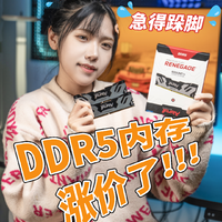 急得跺脚！DDR5内存涨价了！