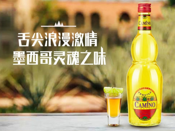 墨西哥龙舌兰酒，总想试试