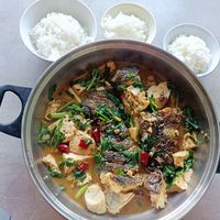 豆腐炖鱼配米饭做晚餐，暖和好吃