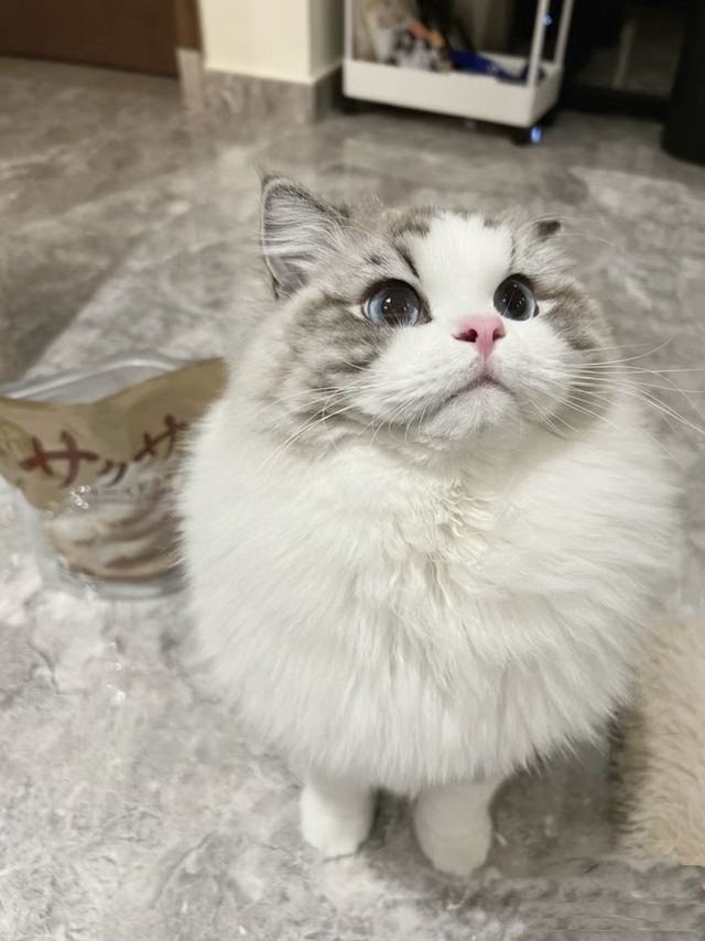 啥东东这么好吃呀