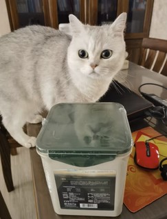 网易天成严选天成宠物零食猫零食冻干桶饕餮盛宴生骨肉十拼冻干桶 500g