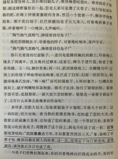 怎么评价檀香刑？这是一本怎样的书。