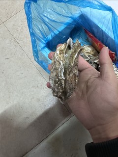 生蚝张嘴了还可以吃？