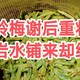 岭梅谢后重妆蕊，岩水铺来却结冰