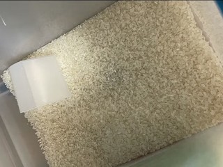 十月稻田 2023年新米 长粒香大米 东北大米 香米 5kg