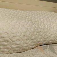 睡个好觉必须得有个好枕头 芝华仕泰国天然乳胶枕头