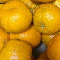 橘子也能瘦身？揭秘水果界的隐藏秘密！