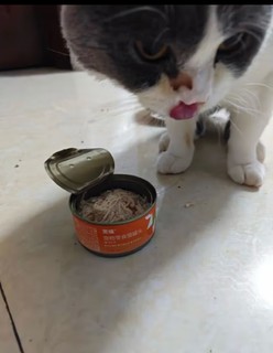 MOFEI猫罐头鸡肉汤罐85g*6罐 营养美味猫咪零食罐成幼猫补水湿粮汤罐