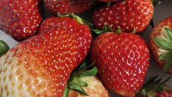 家庭分享水果最好吃——草莓🍓