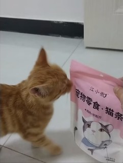 江小傲猫条猫零食三文鱼口味