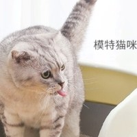 爱宠人士必备！猫砂盆评测：让猫咪更舒适的生活
