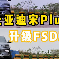 宋dmi车主看过来，FSD减震器值得升级