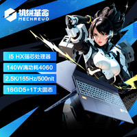 机械革命（MECHREVO）极光Pro16英寸i5HX游戏本笔记本电脑(i5-13450HX16G1TRTX4060165HZ2.5K屏双液金散热)