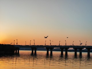 海鸥与夕阳的恋歌