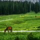 2024年每月旅游推荐！不可错过的风景胜地！