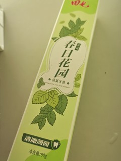 田七春日花园牙膏