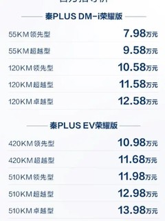 新能源价格战开启，比亚迪打响龙年车市价格战第一枪，官方指导价7.98 万元起