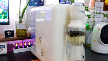 二合一模式带来的健康饮水革命，施诺布冷热茶饮机测入手体验！