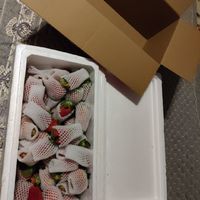 大凉山草莓🍓