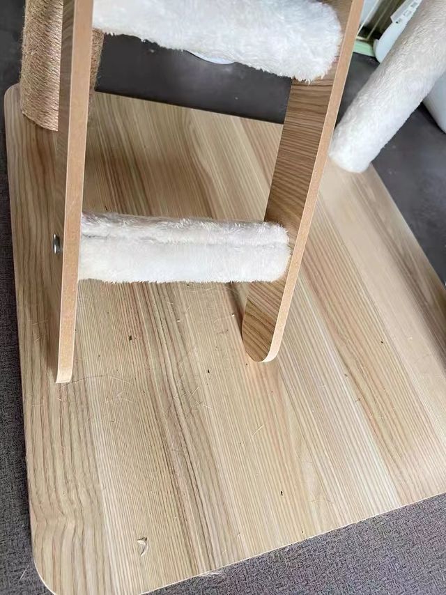 我们的小猫咪好活跃