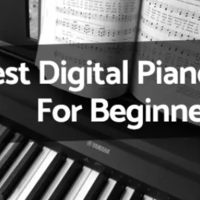 初学者买电钢琴还是电子琴合适？怎么选？