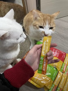 分享我家猫咪爱吃的猫条