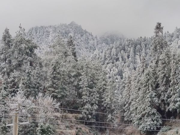 这个元宵节有点冷呀，做好准备，即将离家出去上班啰！