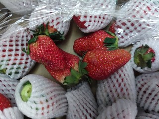 草莓末班车赶上了！