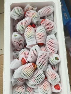 京东非自营购买的草莓4.5斤42元