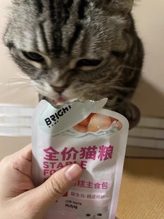 猫咪爱不释手的营养美食