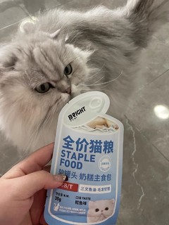 小奶猫的最爱！布兰德双联奶糕